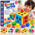 Shape Sorting Educational Toy